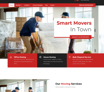 alvizmovers website